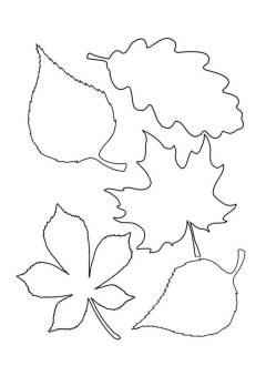 autumn_leaf_template_3-scaled